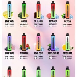 SP2S 7000 Puffs 大容量拋棄式電子菸 (ILIA Steam)