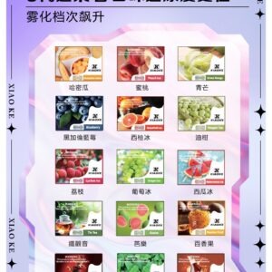 XIAOKE 可替換式電子煙 (對應 RELX6代) (推薦款)